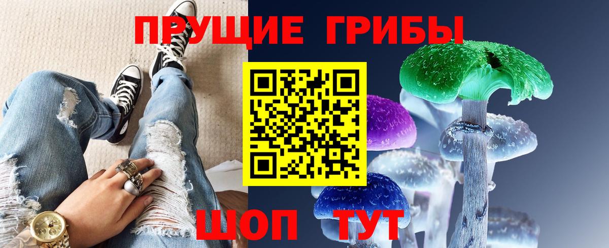 Псилоцибиновые грибы мицелий Советск